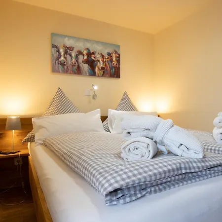 Apartahotel Apartmenthotel Oberstdorf 2*